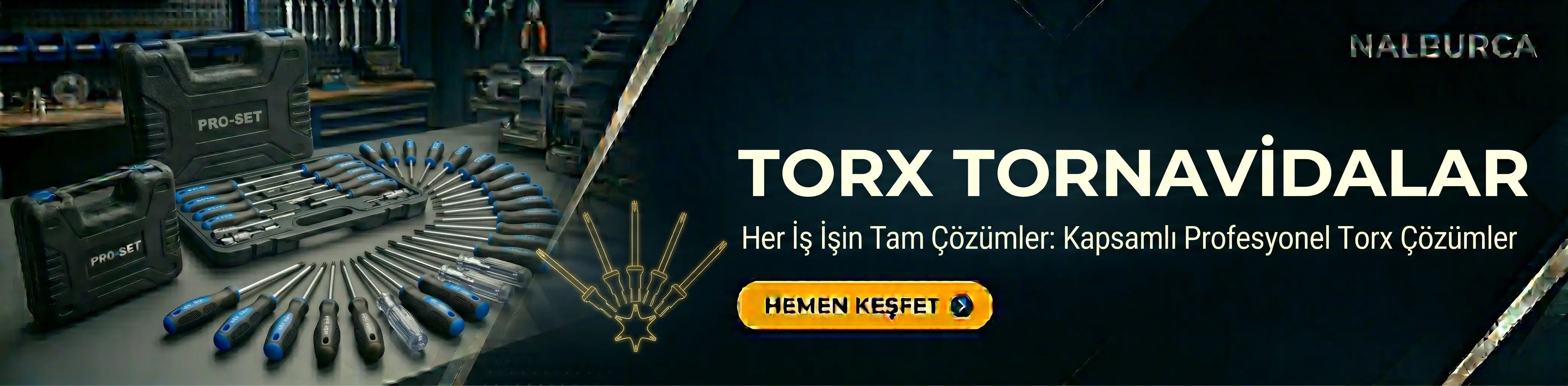 Torx Tornavidalar