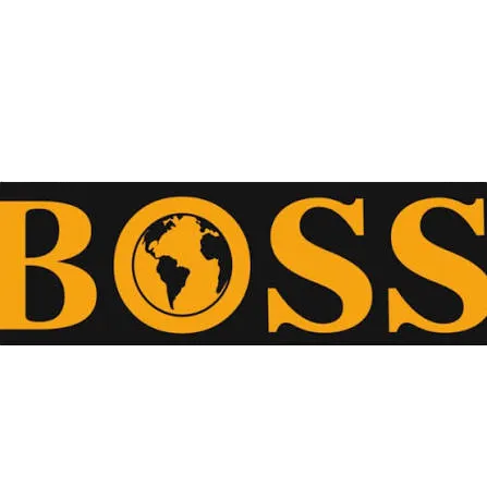 BOSS marka ürünleri - Nalburca